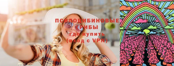 стафф Аркадак