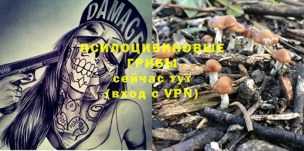 стафф Аркадак