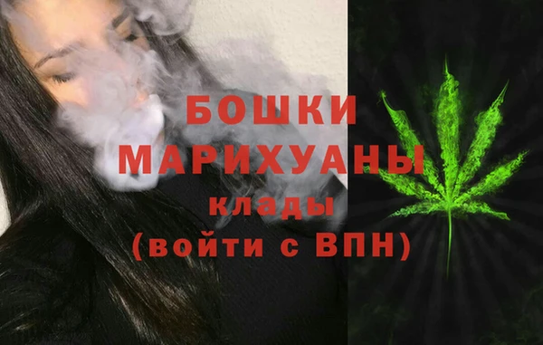 дживик Арсеньев
