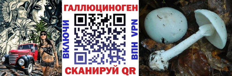 Псилоцибиновые грибы Psilocybine cubensis Исилькуль